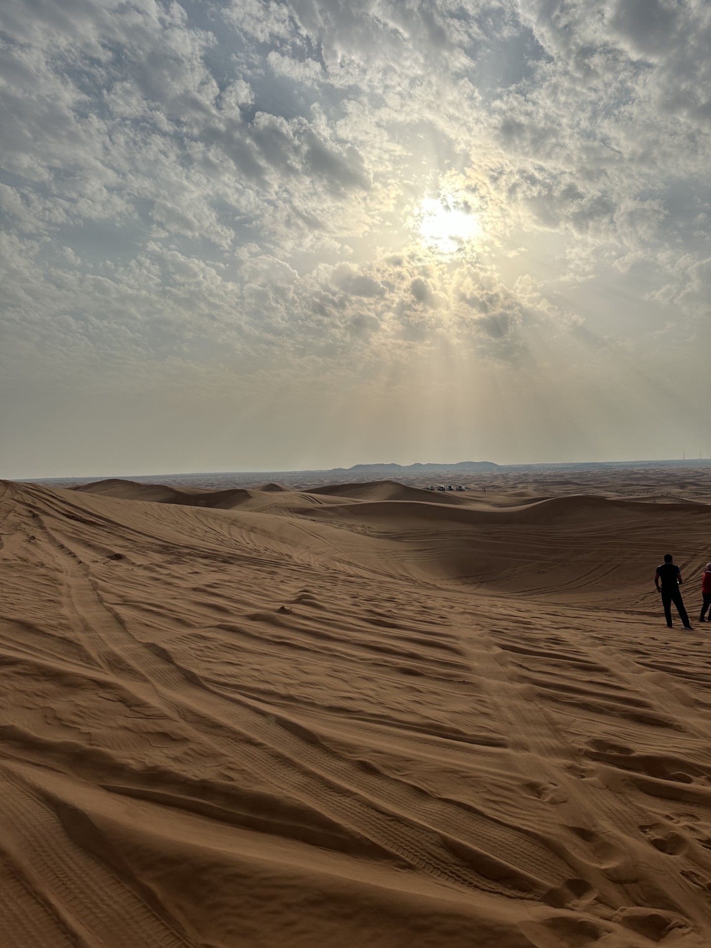 Dunes in the Dubai Desert Conservation.jpg