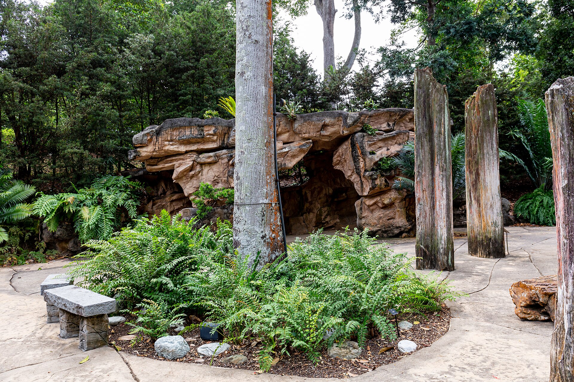 20190819 Singapore Botanic Gardens walkway-1.jpg