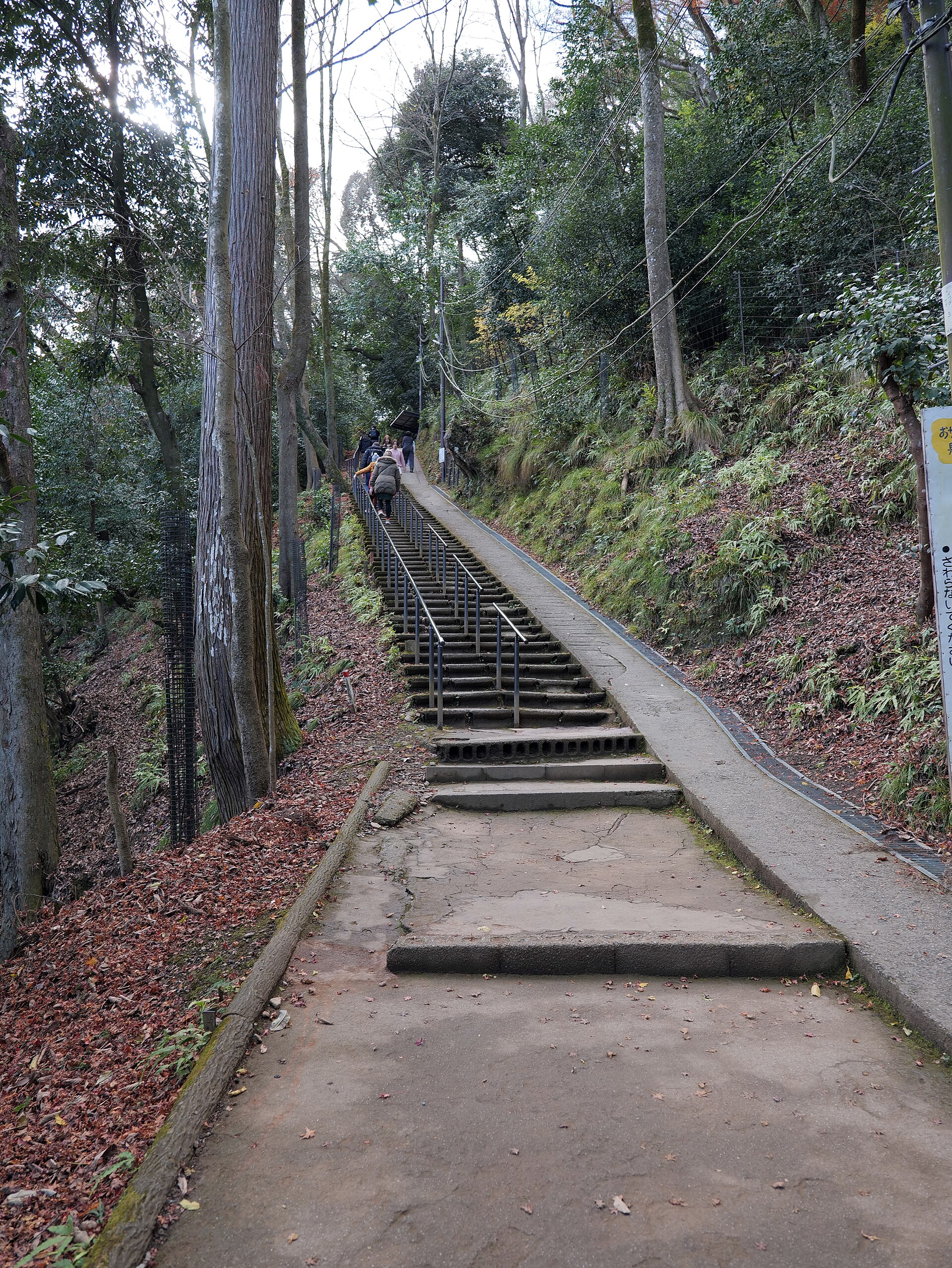 Monkey Park Iwatayama (Arashiyama , Kyoto) mount ascent hdsr S5 01.jpg