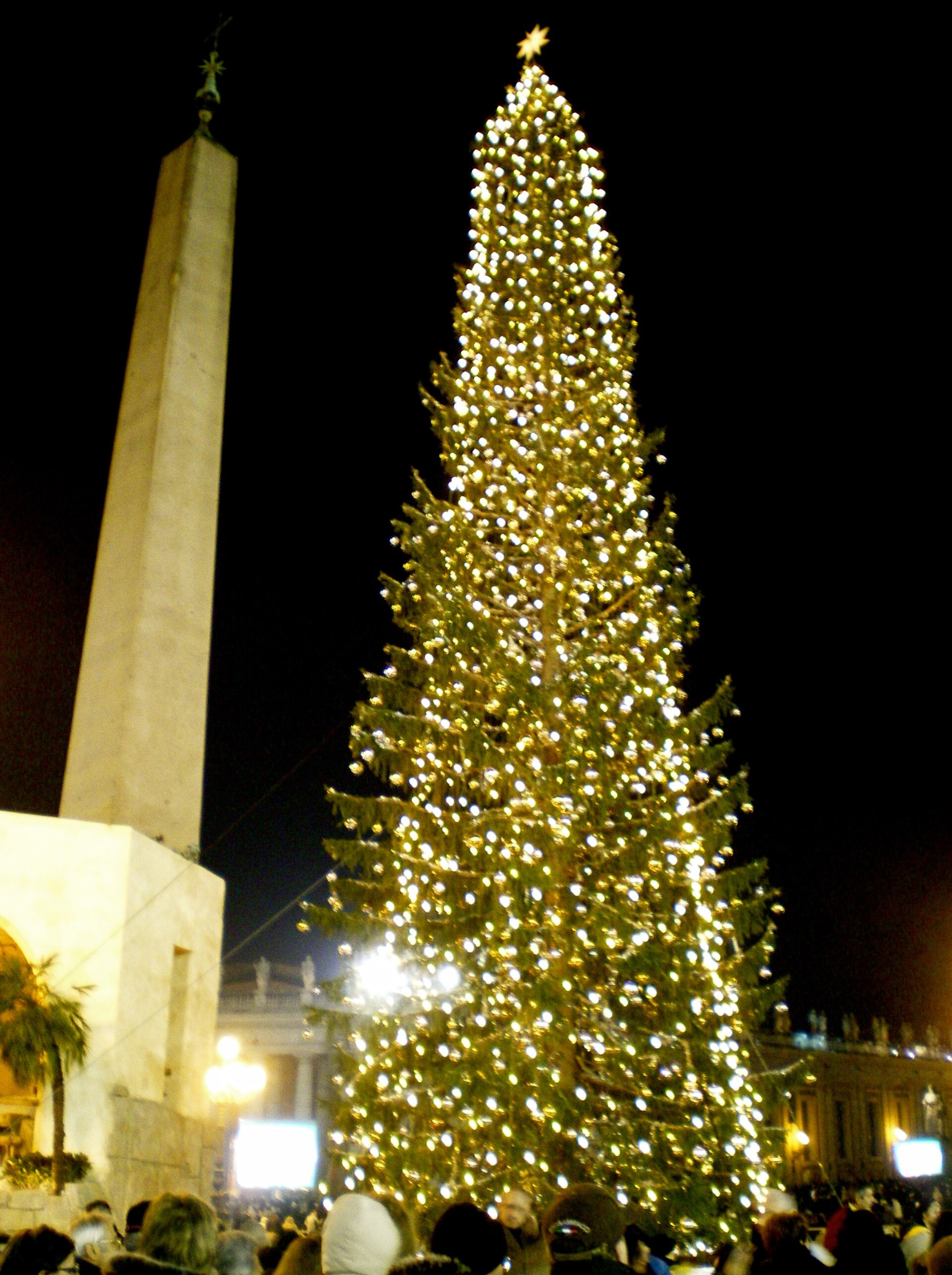 Vatican Christmas Tree.jpg