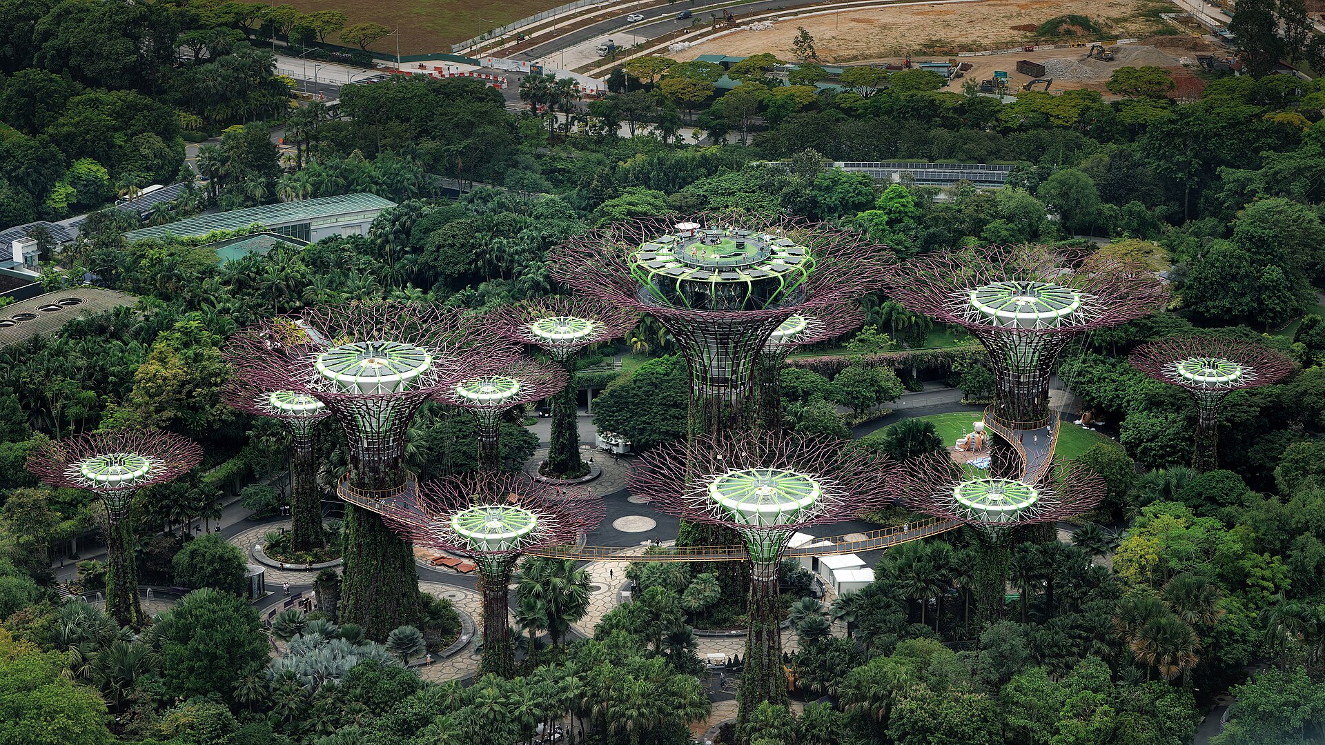 Supertree Grove, Gardens by the Bay, Singapore1.jpg