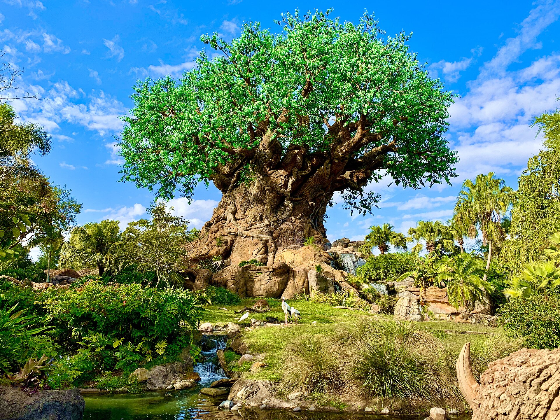 Tree of Life, Disney's Animal Kingdom.jpg