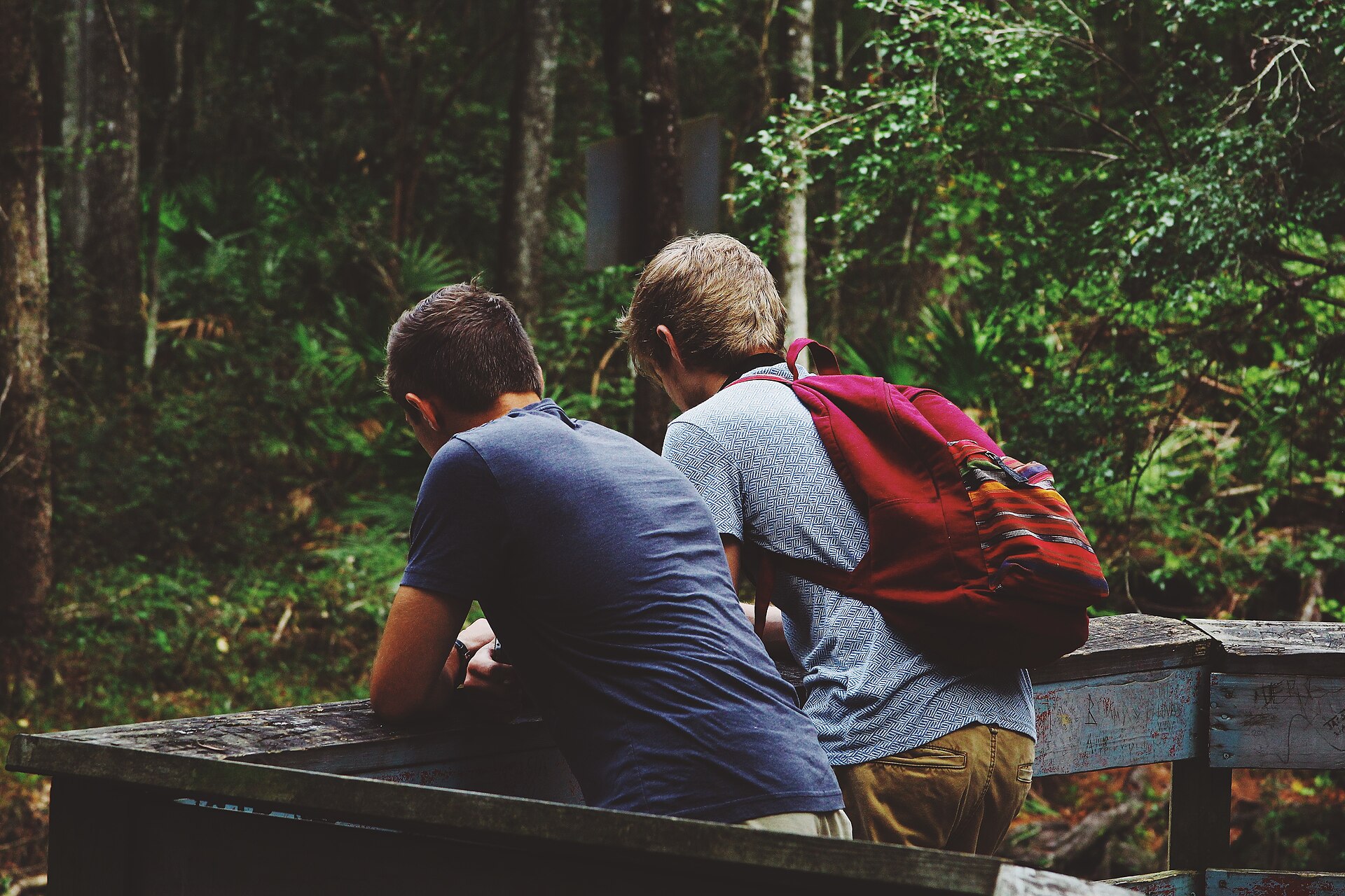 Two friends talking at a forest picnic table