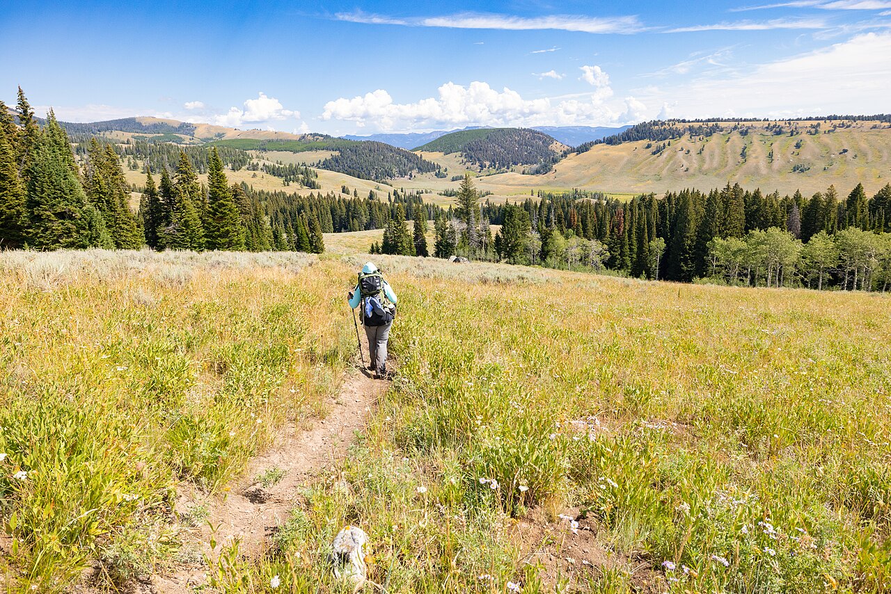Hiking the Fawn Pass Trail towards the Snow Pass Trail junction