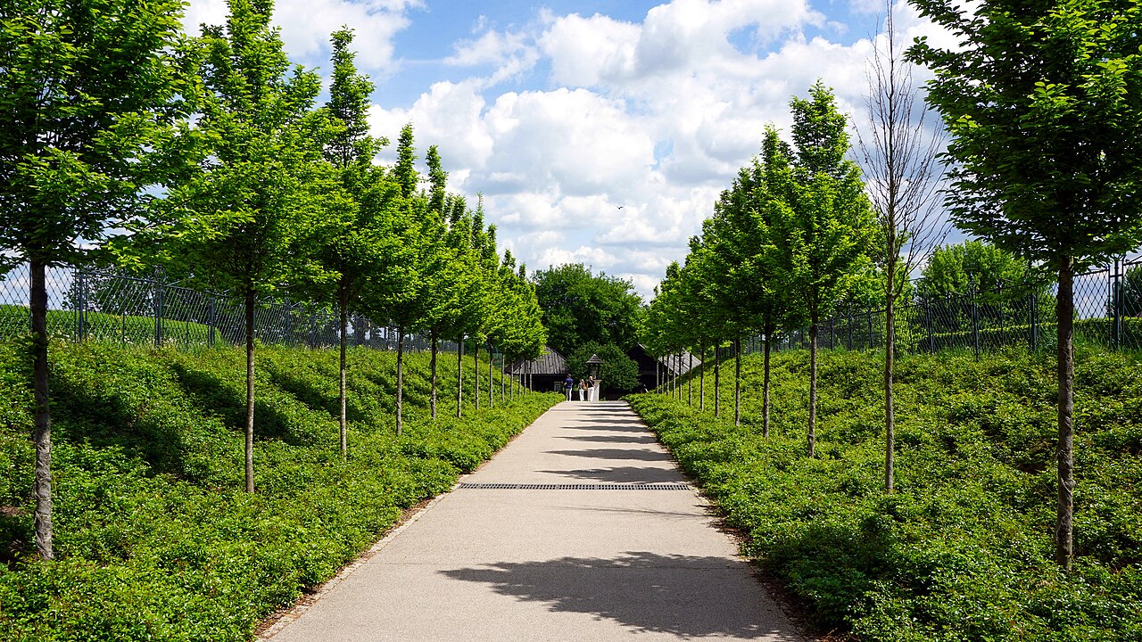 Niepołomickie Błonia Park, walking path, Niepołomice, Poland