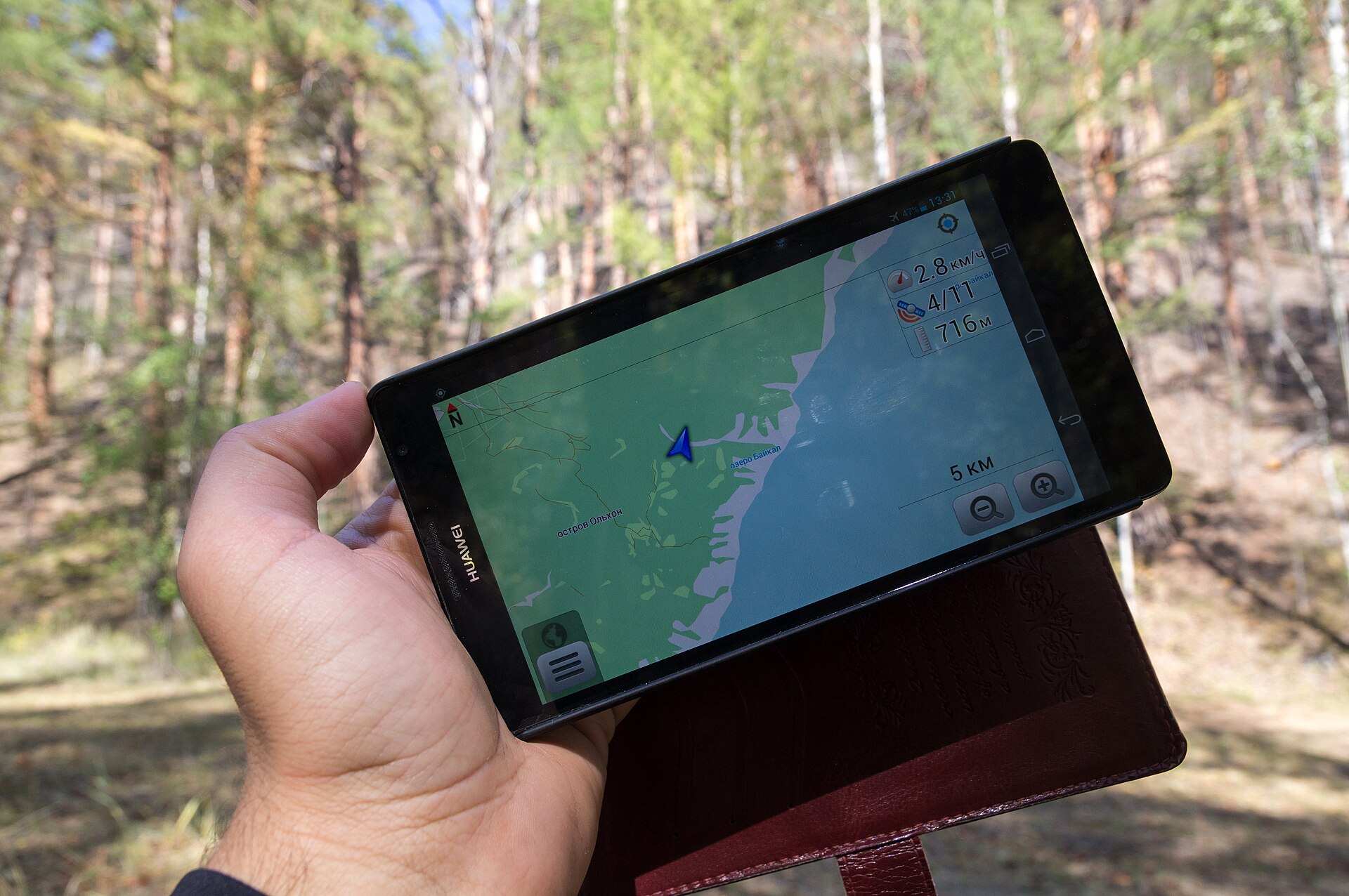A hand holding a smartphone with a map in woodland