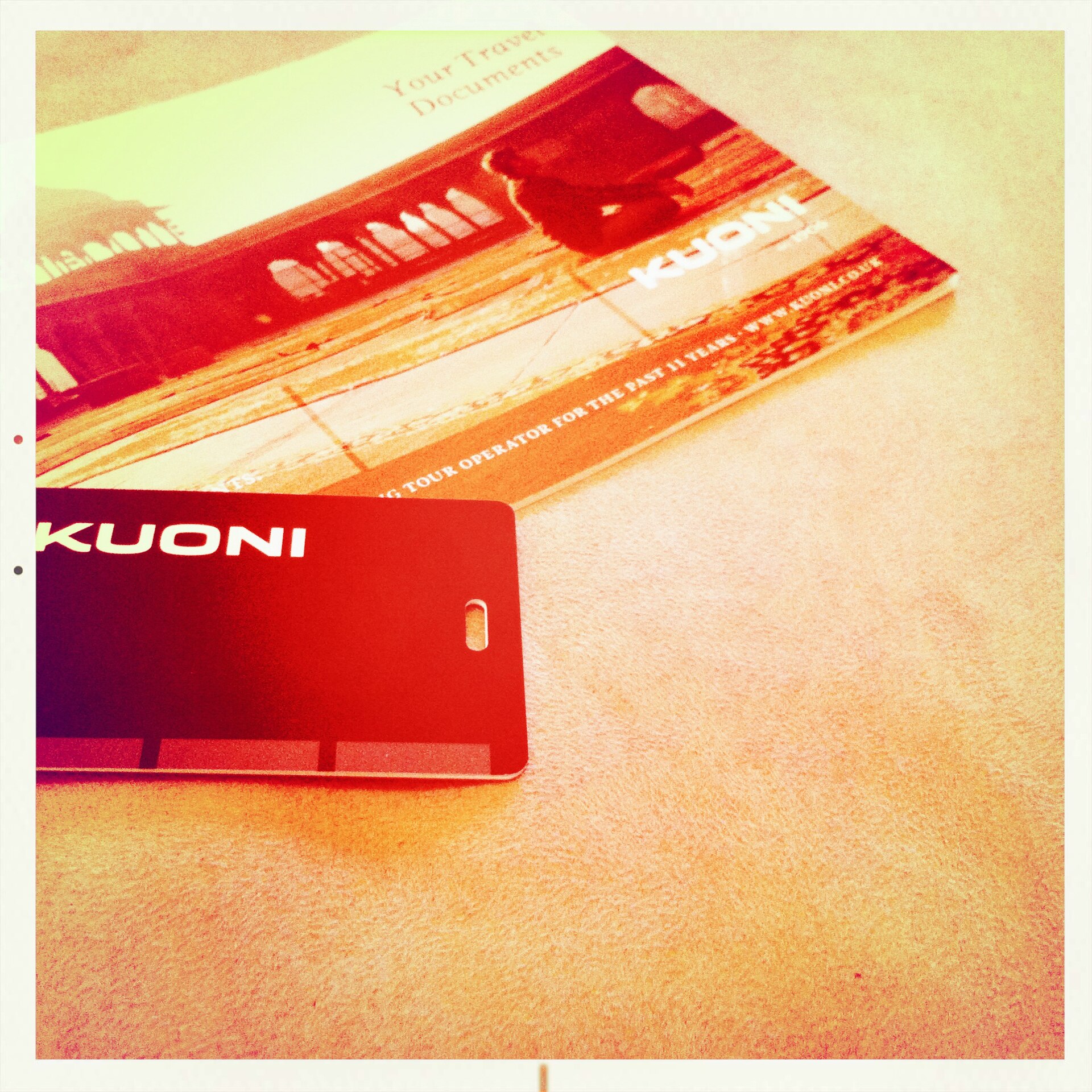 Travel tickets and documents arranged on a table