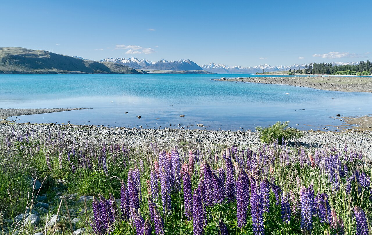 Lake Tekapo 01