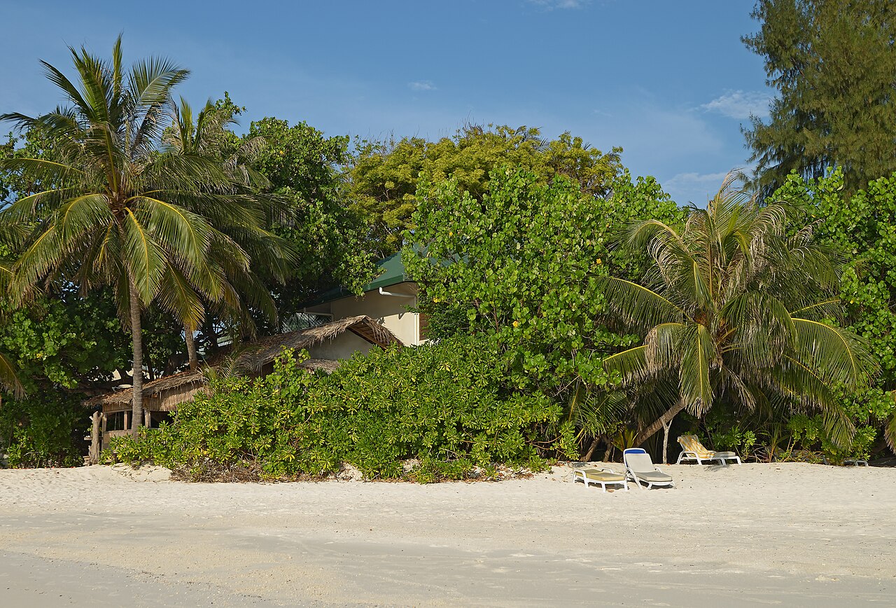 Beach and bungalow. Eriyadu, Maldives